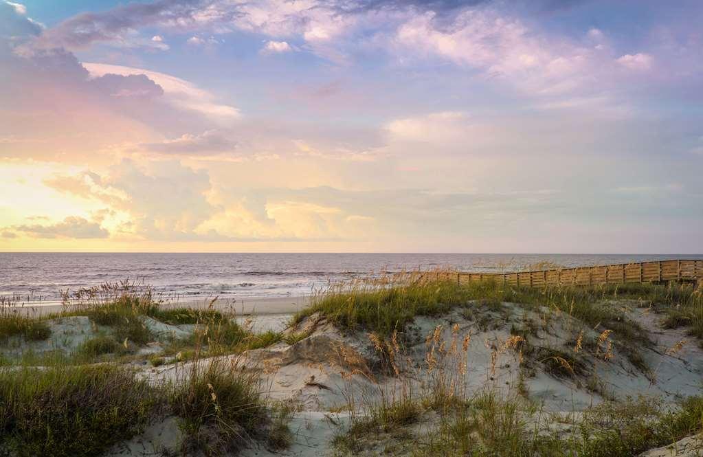Jekyll Ocean Club Resort Jekyll Island Natur foto